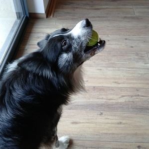 Meet your Posher, Malou